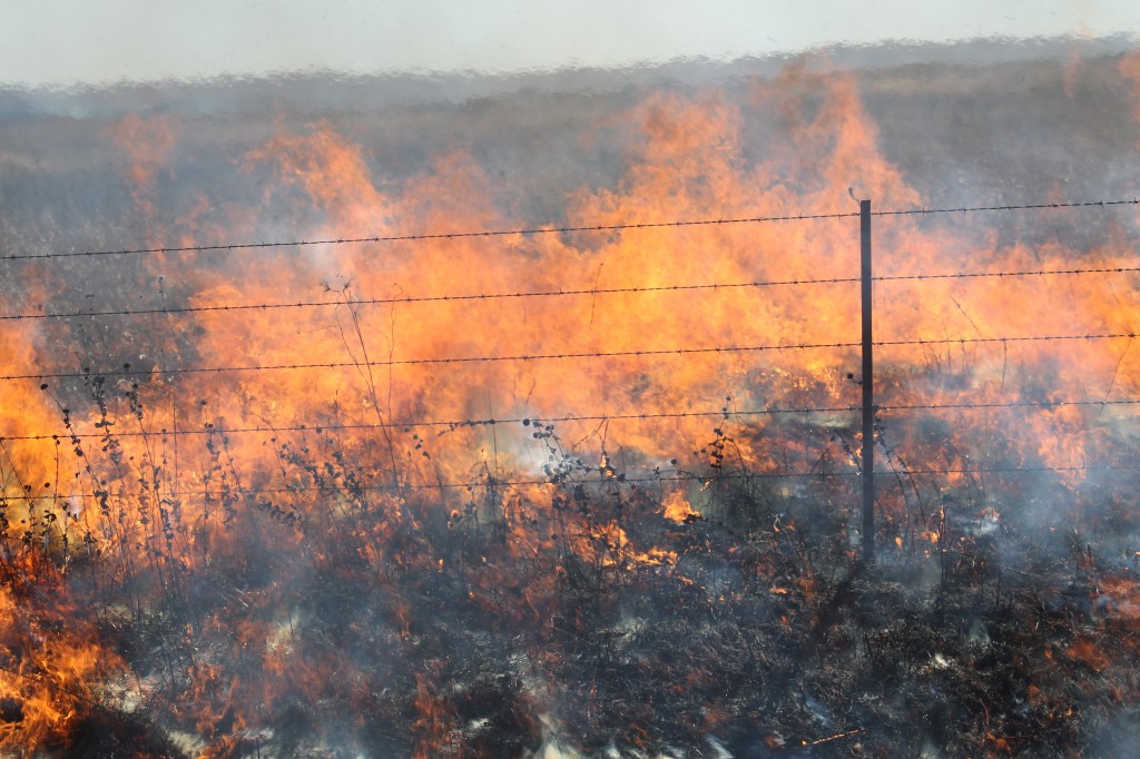 Controlled-Burn-193
